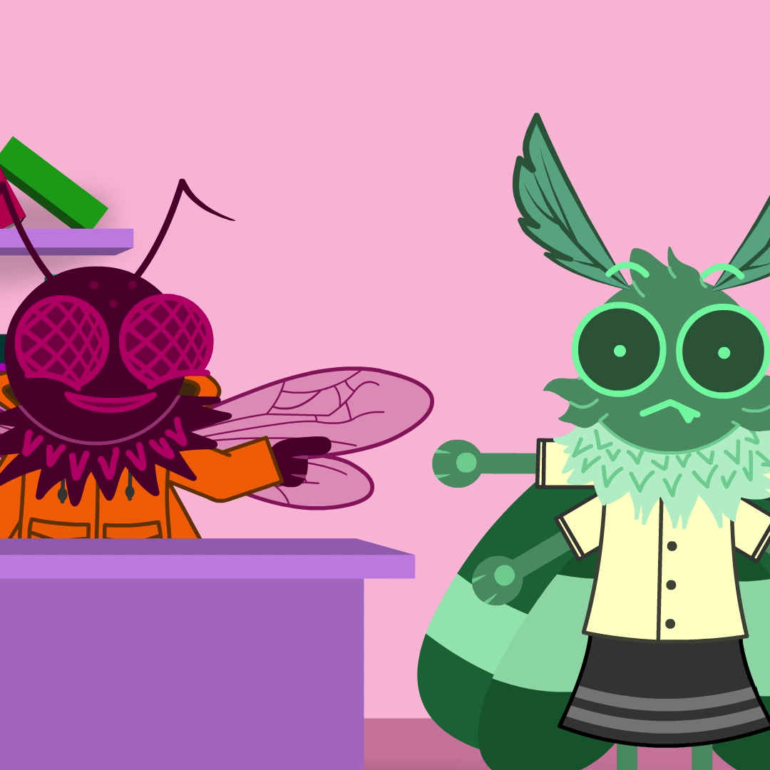 Post from Zach the Butterfly