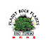 FiXOVB29icI-channel-avatar-PLANET ROCK PLANTS ~ 珍奇植物専門店 ~