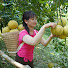 6mRLPiXp7zM-channel-avatar-Harvest Farm Life