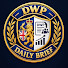 vEqt_TDDFgw-channel-avatar-DWP Daily Brief