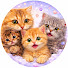 _40AITy1vaQ-channel-avatar-Dirty Kitten Family
