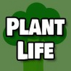 City Steading Plant Life net worth