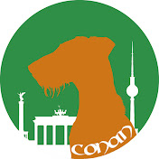 Conan - der Irish Terrier