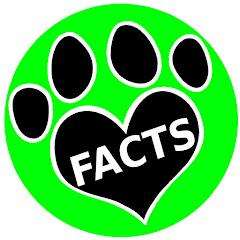 Animal Facts Avatar