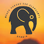 The Bushcamp Company | Mfuwe Lodge Image Thumbnail
