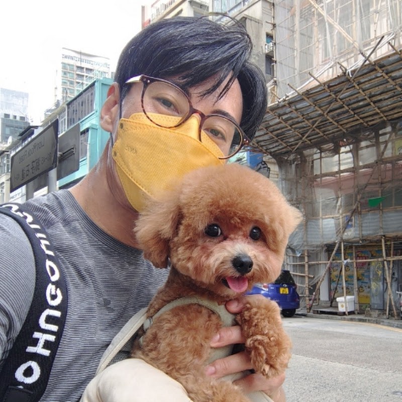 Angus安格斯教室 Logo