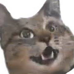 あっ車だ轢かれなきゃ😻