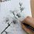 @PencilSketchKim