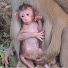 jEUAG4fDmPs-channel-avatar-CAMBODIA LIFESTYLE KH