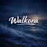 H_TzqNFniew-channel-avatar-Walkora