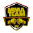MMA Team