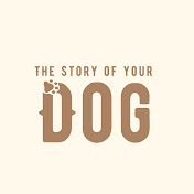THE STORY OF YOUR DOG
