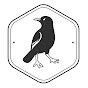 Jackdaw Adventures logo