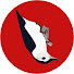 _c2YiHjQk6E-channel-avatar-Birds Walking Down