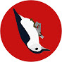 Birds Walking Down logo
