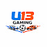PjPAqqeM4hg-channel-avatar-U13 Gaming