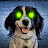 @DingusBolingo's avatar