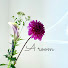 2TK0wEDLZqw-channel-avatar-a-room