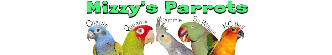 Mizzy's Parrots यूट्यूब चैनल अवतार