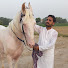 oEOuBkCAmjE-channel-avatar-Ahmad Sher official
