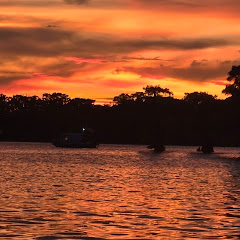 Dat Louisiana Life  Avatar