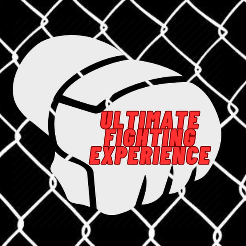 UltimateFightingExperience