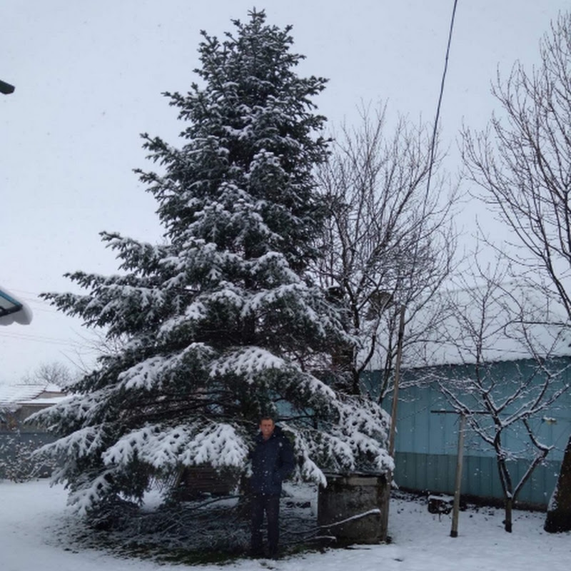 Павло Качурак