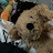 @Braven-t6u Avatar
