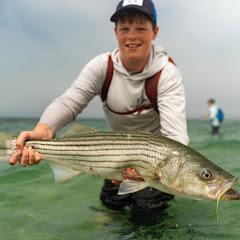 Chasing Minnows