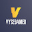 VyseGamer