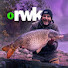 h24bXFSnbGY-channel-avatar-ReWik