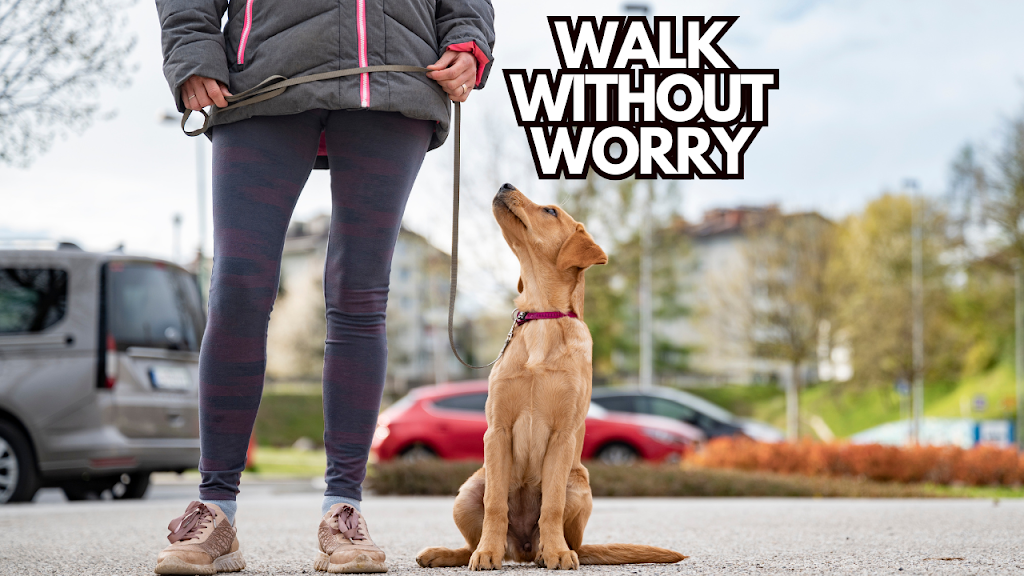 How to Train Dog to Walk Without a Leash: Expert Tips Revealed