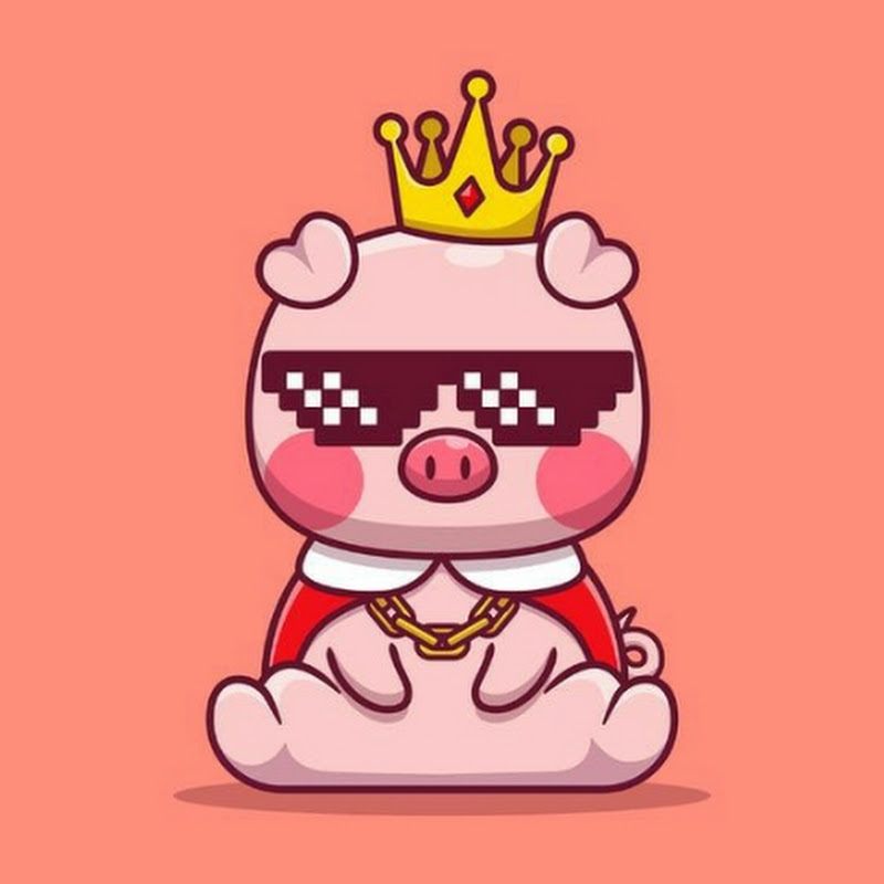 wonder pigi