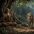 v3HA9kK8XC8-channel-avatar-พรานหลงป่า
