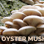 OYSTER MUSHROOM  logo