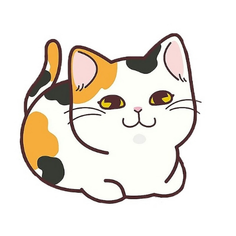 @ketara.hannouche: she’s so precious 🥹 #cat  #catlover #kitty