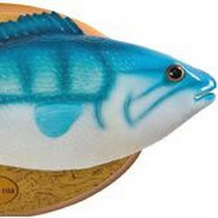 Erik The Fish Guy net worth