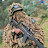 @AmbroiseTshiela-x5g