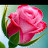 @Mselvi-hq4bc