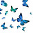 @Butterflygirl36