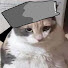 gURtbWeZG5g-channel-avatar-Cashrainer