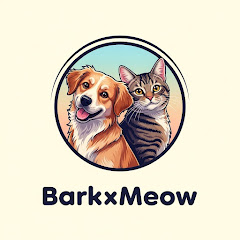 BarkxMeow