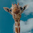 Photo of @forgys5318