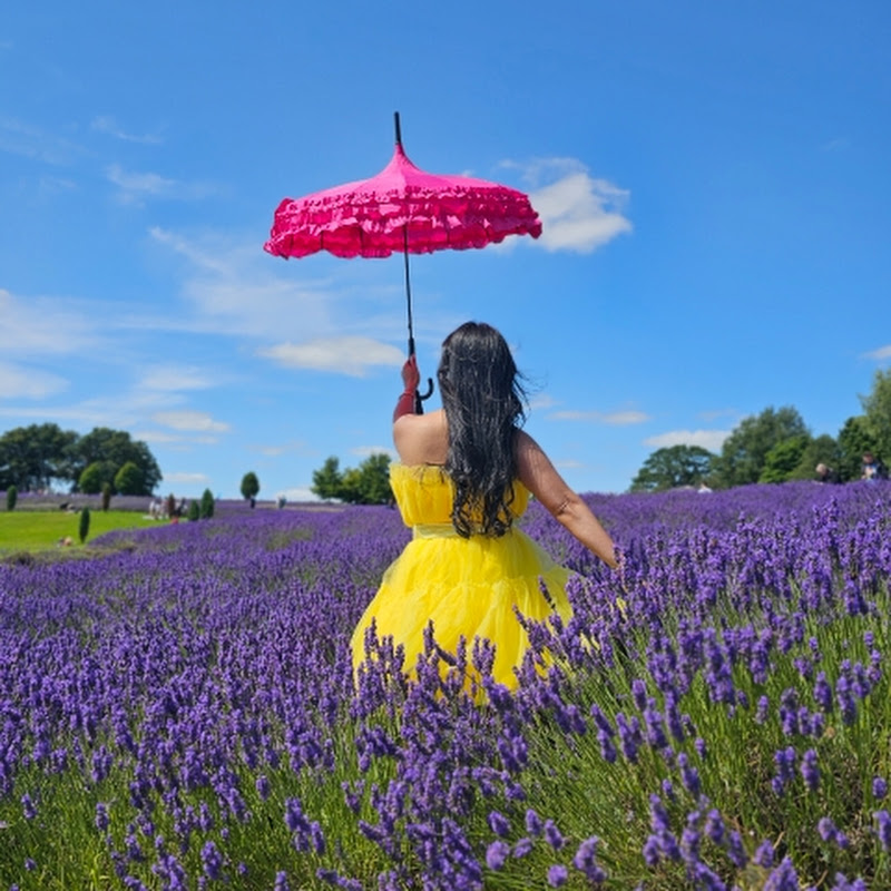 Cherry's Entertainment Channel