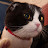 youtube avatar