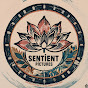 Sentient Pictures Ltd logo