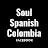 @soulspanishcolombia