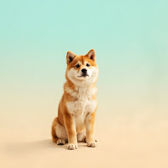 师永斌篮球训练