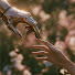 ptFJYfvtmco-channel-avatar-Medieval Fantasy Music