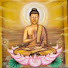 yLM9OLfnojI-channel-avatar- วัดป่าสร้างขุ่ย
